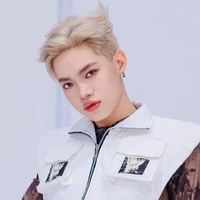 nguyễn thanh pháp