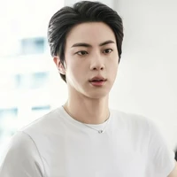 Kim Seokjin-Sj