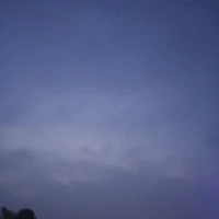 ngẫu nhiên