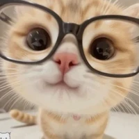 Lin好 điên cuồng yêu lyhan!!