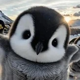 Tất cả mọi người ( - ai thì biết)