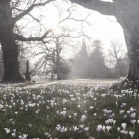 『🍌Tiến Tiến🎨』