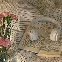 『📖Thái Sơn💵』