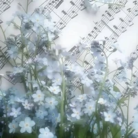 『🎤Diễm Hân🎵』