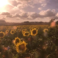 『🎐Khánh Vy🐧』