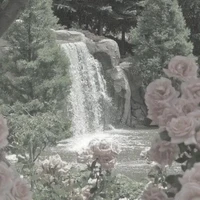 『🌺Như Quỳnh🍁』