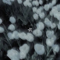 『🌶Huyền Trân🍥』