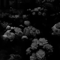 『🎼Hạo Duy🎧』