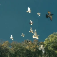 『🎮Duy Khánh⚽️』