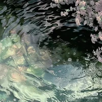 『🌳Trọng Thiện🕸』