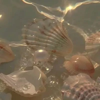 『💦Tấn Phát🍮』