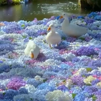 sisimadi(hệ thống rich kid)