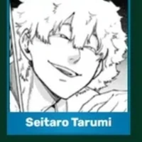 seitaro tarumi