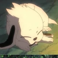 Akamaru