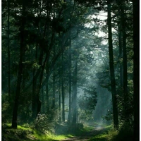 nhv cân mọi loại vai