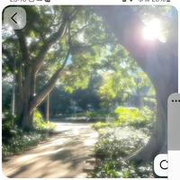 nhv bí ẩn