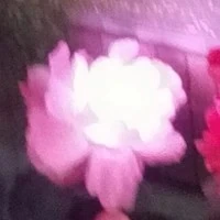 tông túa ngầu nhất xóm