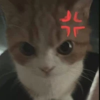 若嫣
