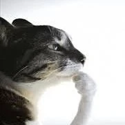 một người nào đó mà t cũng không rõ