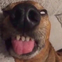 Tgiả đây nò⊹₊⋆🐧ྀི⊹₊⋆