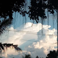 All (trừ ai thì trừ)