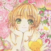Kinomoto Sakura