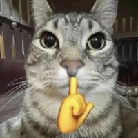 T/G