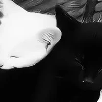 ? ? ? ( nhân vật bí ẩn/ nam) 