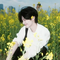 已故黄忠 (Cố Hoàng Trung)