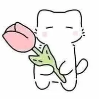 mèo trắng cute (tg)