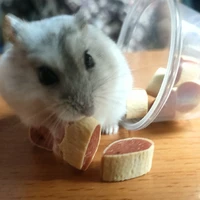 Cả đám con báo