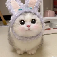 Tác giả vô tri