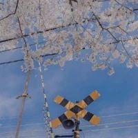 quý cô người VIỆT NAM