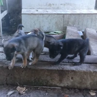 Tất cả - trừ vài người cần trừ