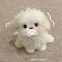 con báo của tác giả❤