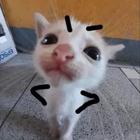tg pẹc pẹc