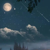 NPC nữ.