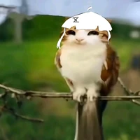 pepsi cute