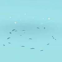 NVP: Nam