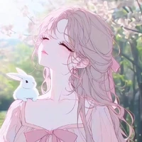 y/n