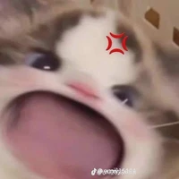 t/g
