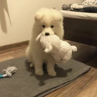 Tác Giả Đáng Êu