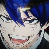 shiki