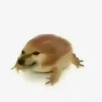 hệ thống pipilabu