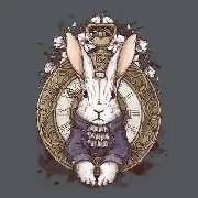 Rabbit