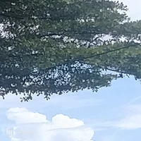 cái đồng hồ mất dậy