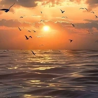 Đội Chiến Đấu A