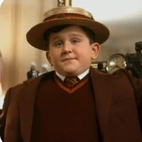 Dudley Dursley