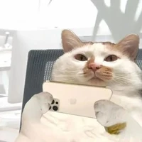 tác giả đẹp gái