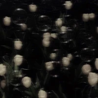 người bí ẩn :P